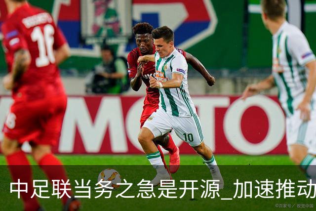 中足联当务之急是开源 加速推动中国足球职业化